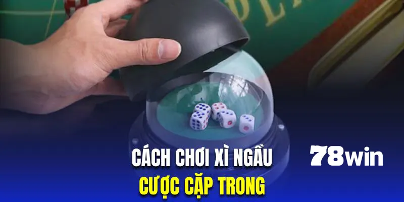 Cách Chơi Xí Ngầu Luôn Thắng Theo Chuyên Gia Mới Nhất 2024 5 Cách chơi Xí Ngầu cặp trong mang lại rất nhiều sự thú vị cho hội viên